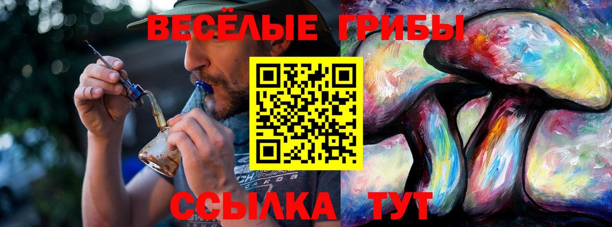 Галлюциногенные грибы GOLDEN TEACHER Сибай